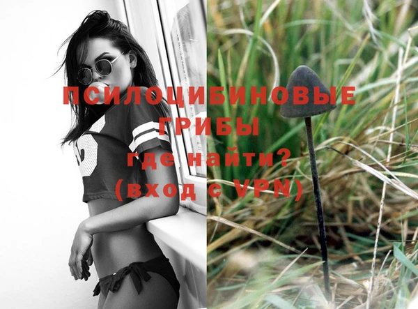 винт Алексеевка