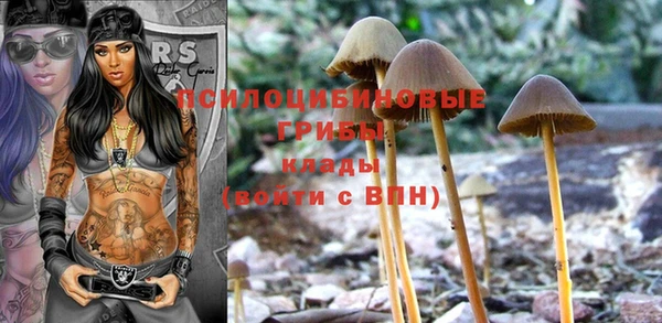 прущие крисы Алексин