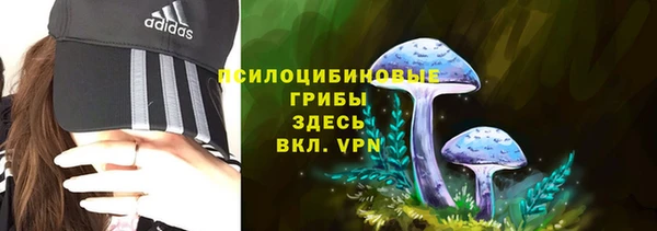 гидра Алзамай