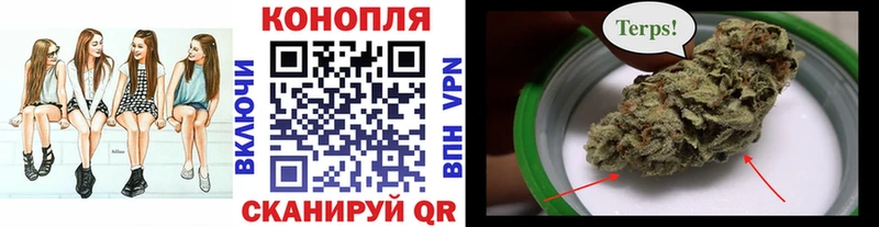 Канабис гибрид  Карпинск 